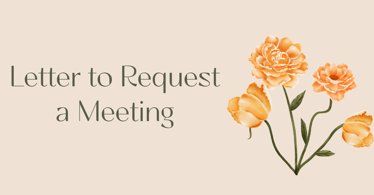 Letter to Request a Meeting