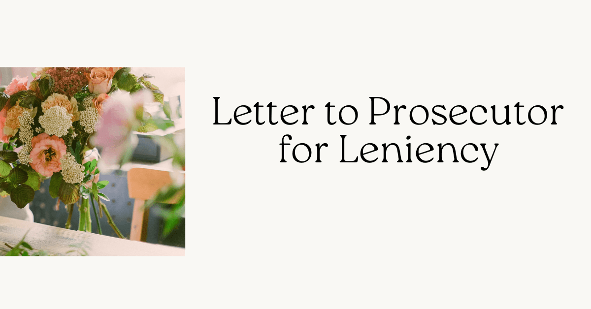 Letter to Prosecutor for Leniency